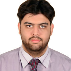 Haseeb Mohammad, Digital Marketing Specialist (Remote Job)