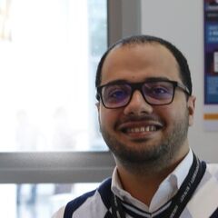 احمد همام, Career Adviser 
