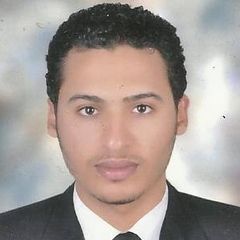 صبحى محمد, Project Accountant