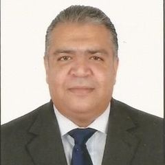 Arafat El Moungy, Legal Expert