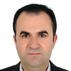 عمر ابوبكر  سعيد, Site Manager