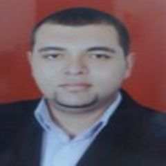 حسام ابوعلي, Gis Expert