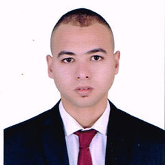 Abdalla Mohamed Eid Abdalla shenana, Advanced NDT Specialist