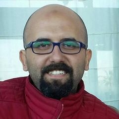ماجد محمد شفيق, Senior Business Intelligent Developer