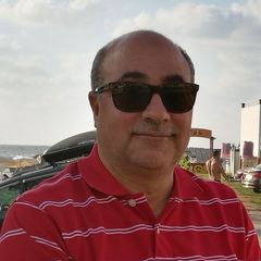 Abd El Aziz Ali Shinawy, Senior Geotechnical Engineer