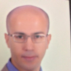 ahmed hassan, Sales Manager