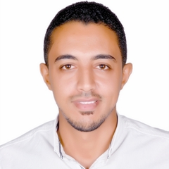 Ali Mohamed, Mechanical lead engineer