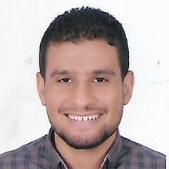 Omar Mahrous Mahrous, Junior Android Developer