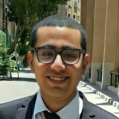 Mostafa Mamdoh Mamdoh, Software Developer