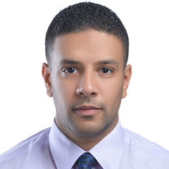 Mohamed Helmy Ibrahim, Finance Manager