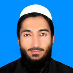 shafiullah  khan, Lecturer