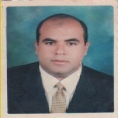 Waleed Fawzi Mohammed  Abdel Hadi, Accountant