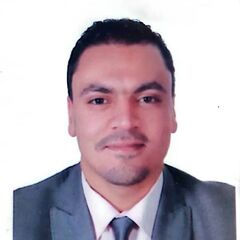 أحمد Olyian, Project Engineer