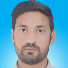 Fazal Kabeer, Electrical Engineer
