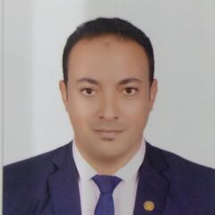 مصطفى نصر السحرتي, مسئول خدمات الكترونية للموارد البشرية