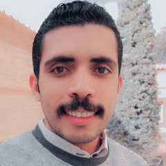 Saleh Gamal, معلم رياضيات