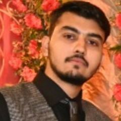 Saquib  Mansuri