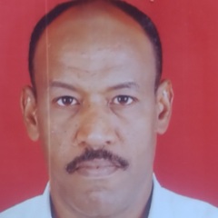 BADRELDIN YAHIA  MOHAMED HASSAN 