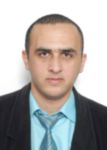 Muhannad Shubietah, Web developer