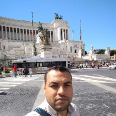 Gamal Abdel-Nasser Gabr, lead hse engineer