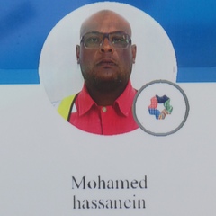 محمد حسنين محمد أحمد, Project supervisor 