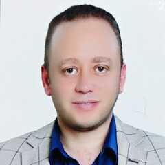 Mamdouh Harhash, Auditor and financial analyst