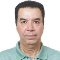 saud ali shah, Business Unit Manager