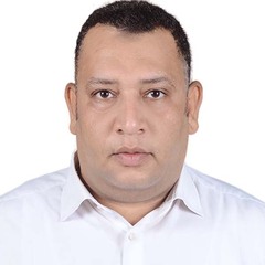 Ahmed Badr, Software Developer and Data Analyst, Turkey, Ankara TDY 28/05/2023 - 28/07/2023
