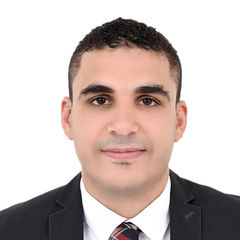 saeed mahmoud elsafty, Supply Chain Officer