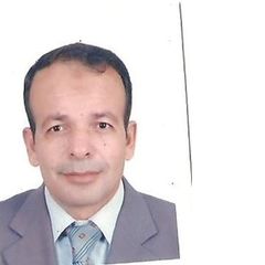 Nassr-Allah Abdel-Hameid, Professor