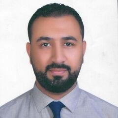 ahmed adel, Export Sales Manager