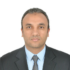 Hany El-Demerdash, Operations & Project Management Consultant