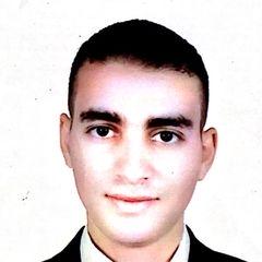 حسام ناجى, testing and commissioning engineer II