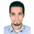 Mohammed Ashraf Youssef, Site Engineer