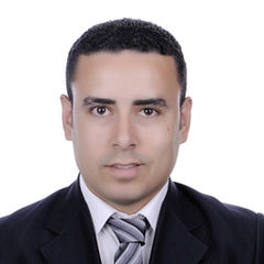 Mahmoud Tawfek, Senior System Engineer