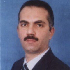 Tamer Sherif, Logistics Director