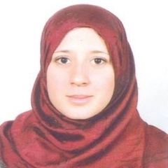 امينة بن سليم, مترجمة رسمية