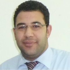 Mostafa Hussien, مدير مالي