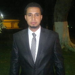 وليد احمدمحمد عبد العزيز, كمحامى