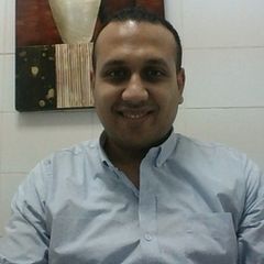 Amr Hanafy, Accountant
