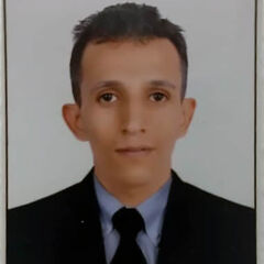 Omar Mohammed Abdulrahman Abdulkareem, Programmer