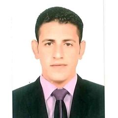 profile-محمد-أبوالمجد-31309745