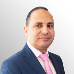 Mohammed Wassef, Chief Structural Engineer