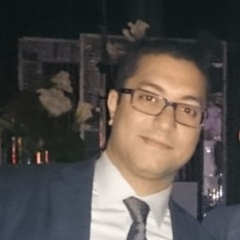 Adel Hamzawi, CFO Chief Financial Officer