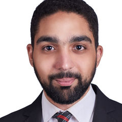 Walid Shafiy, junior accountant