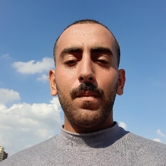 Mohamed Eldanssori