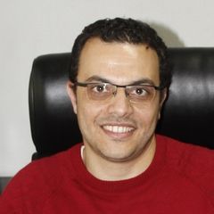 Adel Atef, Software Engineer / Lead Software Engineer