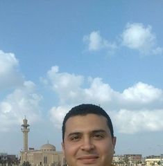 محمد احمد محمد الفالوجى الفالوجى, باحث قانونى
