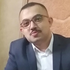 Ahmed Elsayed, Senior Financial Auditor