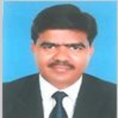 Avinash Shukla, Senior Professional